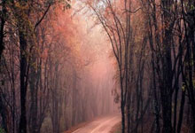 IM电竞APP-包含英格兰迎来关键胜利，锁定欧锦赛参赛资格的词条