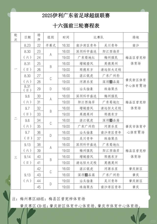 足球比赛冠军争夺激烈，各队实力对比